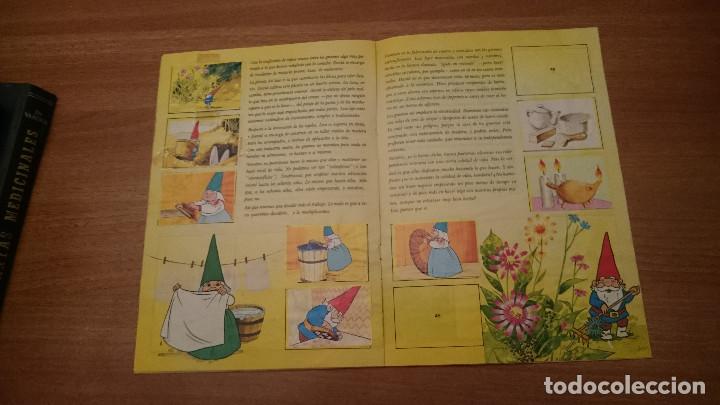 Coleccionismo &aacute;lbumes: EL LIBRO DE LISA - DAVID EL GNOMO - - Foto 3