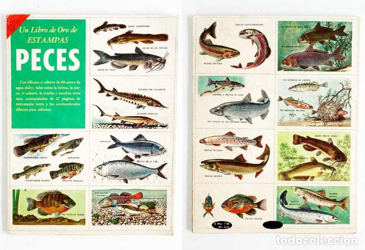 Coleccionismo &aacute;lbumes: PECES. EL LIBRO DE ORO DE ESTAMPAS - Foto 2