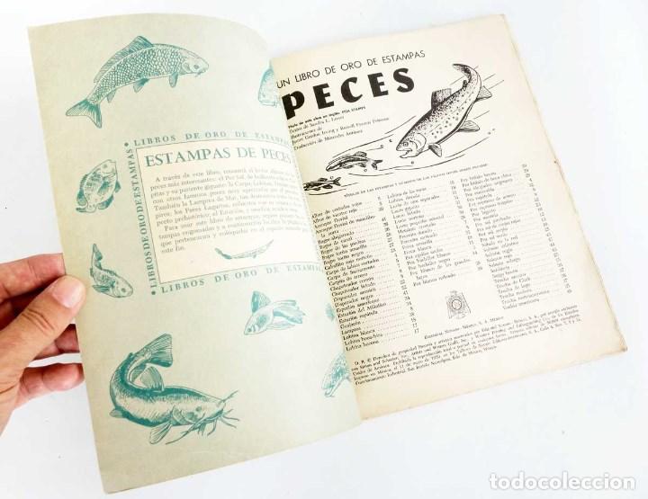 Coleccionismo &aacute;lbumes: PECES. EL LIBRO DE ORO DE ESTAMPAS - Foto 3