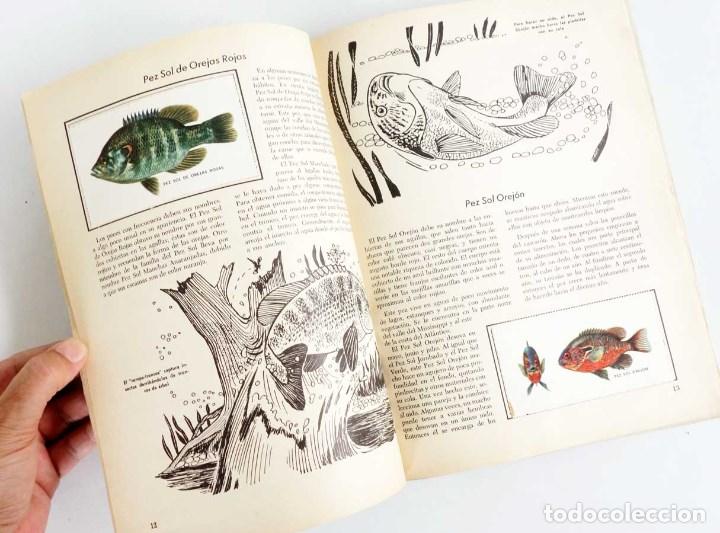 Coleccionismo &aacute;lbumes: PECES. EL LIBRO DE ORO DE ESTAMPAS - Foto 4