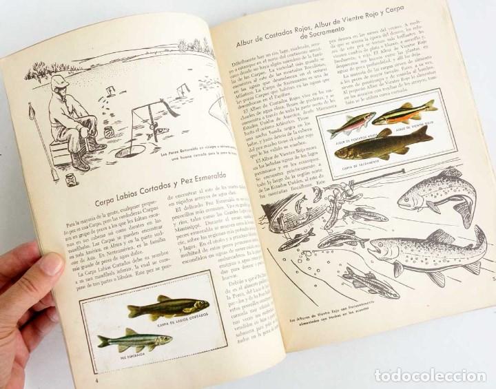 Coleccionismo &aacute;lbumes: PECES. EL LIBRO DE ORO DE ESTAMPAS - Foto 5