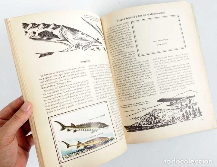 Coleccionismo &aacute;lbumes: PECES. EL LIBRO DE ORO DE ESTAMPAS - Foto 6