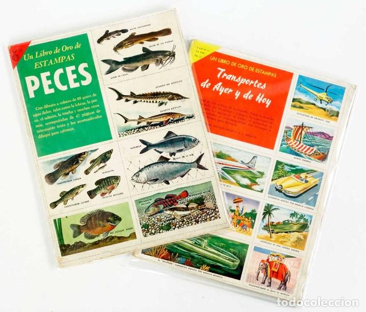 Coleccionismo &aacute;lbumes: PECES. EL LIBRO DE ORO DE ESTAMPAS - Foto 7