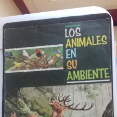 Coleccionismo Álbumes: ALBUM LOS ANIMALES EN SU AMBIENTE FHER FALTAN SOLO 16 CROMOS. Lote 134437222