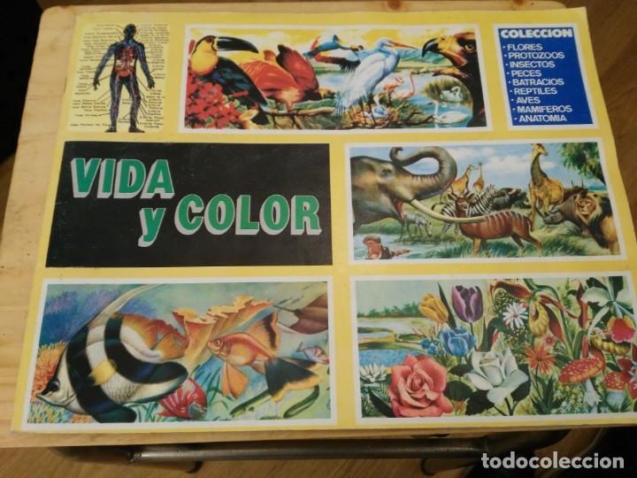 Coleccionismo &aacute;lbumes: VIDA Y COLOR - Foto 1