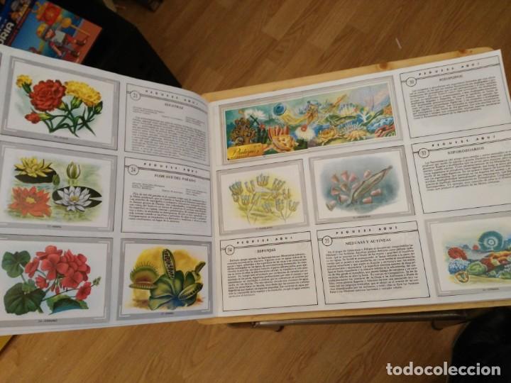 Coleccionismo &aacute;lbumes: VIDA Y COLOR - Foto 2