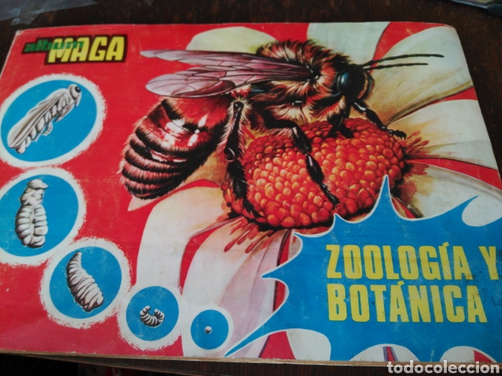 Colecionismo Cadernetas: &Aacute;lbum maga zoolog&iacute;a y bot&aacute;nica