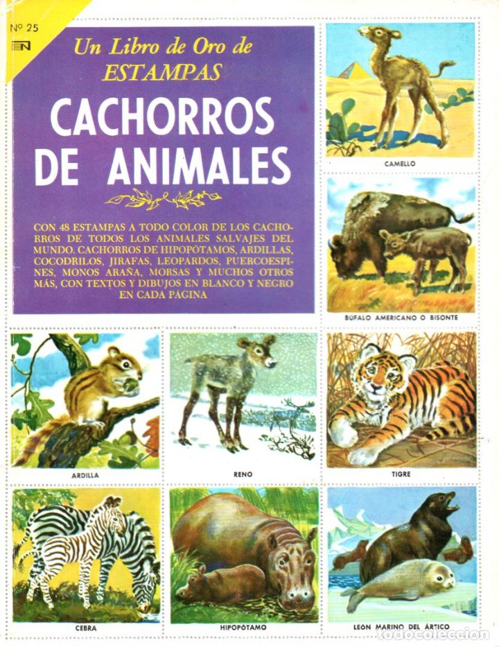 Coleccionismo &aacute;lbumes: LIBRO DE ORO DE ESTAMPAS CACHORROS DE ANIMALES - Foto 1