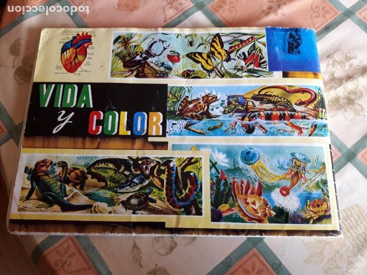 Coleccionismo &aacute;lbumes: VIDA Y COLOR COMPLETO (M2) - Foto 14