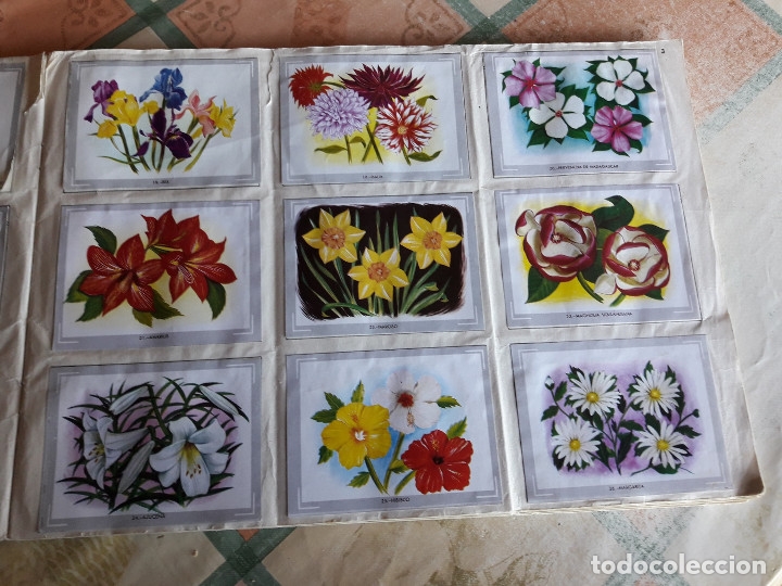 Coleccionismo &aacute;lbumes: VIDA Y COLOR COMPLETO (M2) - Foto 3