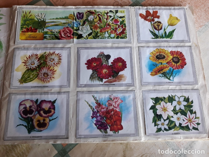 Coleccionismo &aacute;lbumes: VIDA Y COLOR COMPLETO (M2) - Foto 2