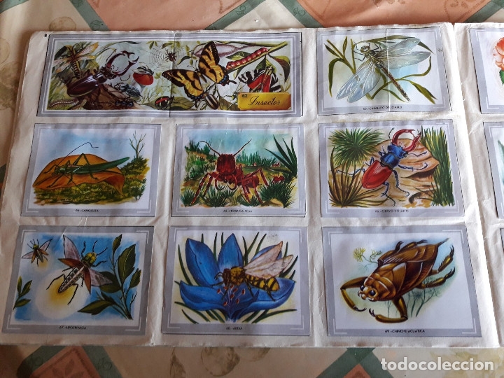 Coleccionismo &aacute;lbumes: VIDA Y COLOR COMPLETO (M2) - Foto 5