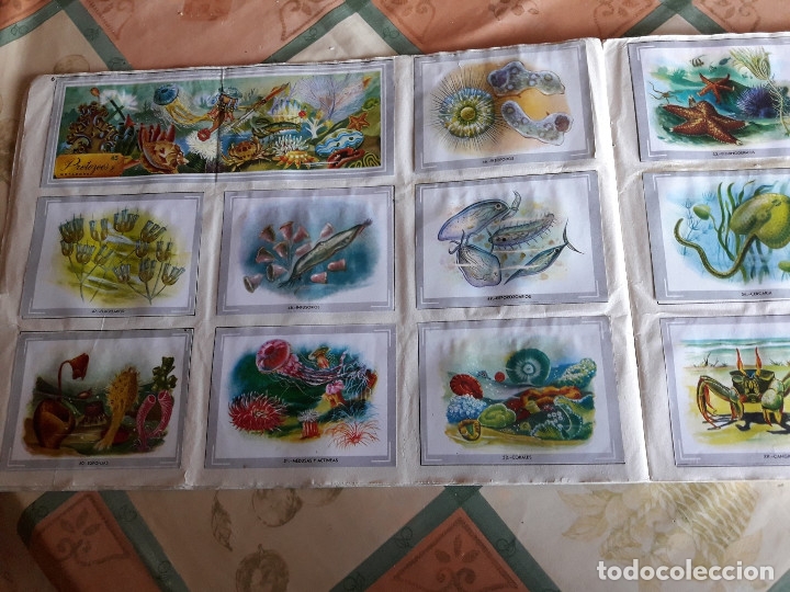 Coleccionismo &aacute;lbumes: VIDA Y COLOR COMPLETO (M2) - Foto 4