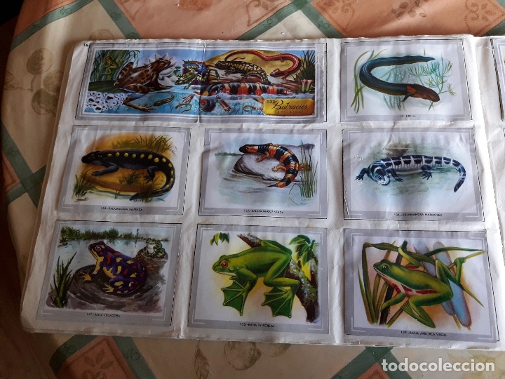Coleccionismo &aacute;lbumes: VIDA Y COLOR COMPLETO (M2) - Foto 7