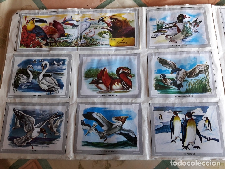Coleccionismo &aacute;lbumes: VIDA Y COLOR COMPLETO (M2) - Foto 8