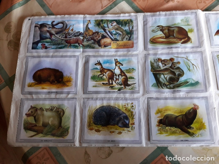 Coleccionismo &aacute;lbumes: VIDA Y COLOR COMPLETO (M2) - Foto 9