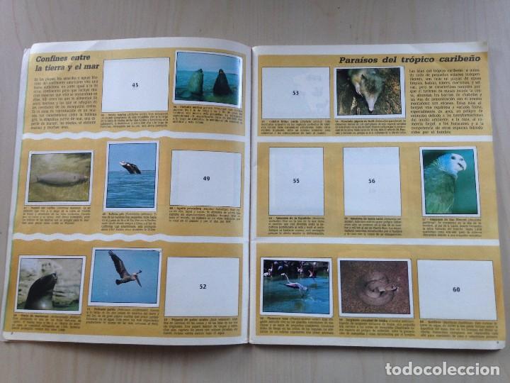 Coleccionismo &aacute;lbumes: WWF animales en peligro - Foto 4