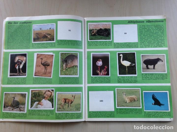 Coleccionismo &aacute;lbumes: WWF animales en peligro - Foto 5