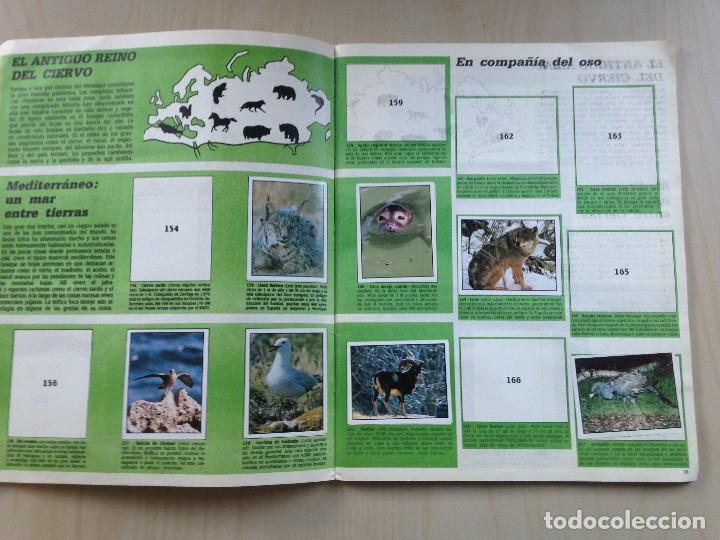 Coleccionismo &aacute;lbumes: WWF animales en peligro - Foto 6