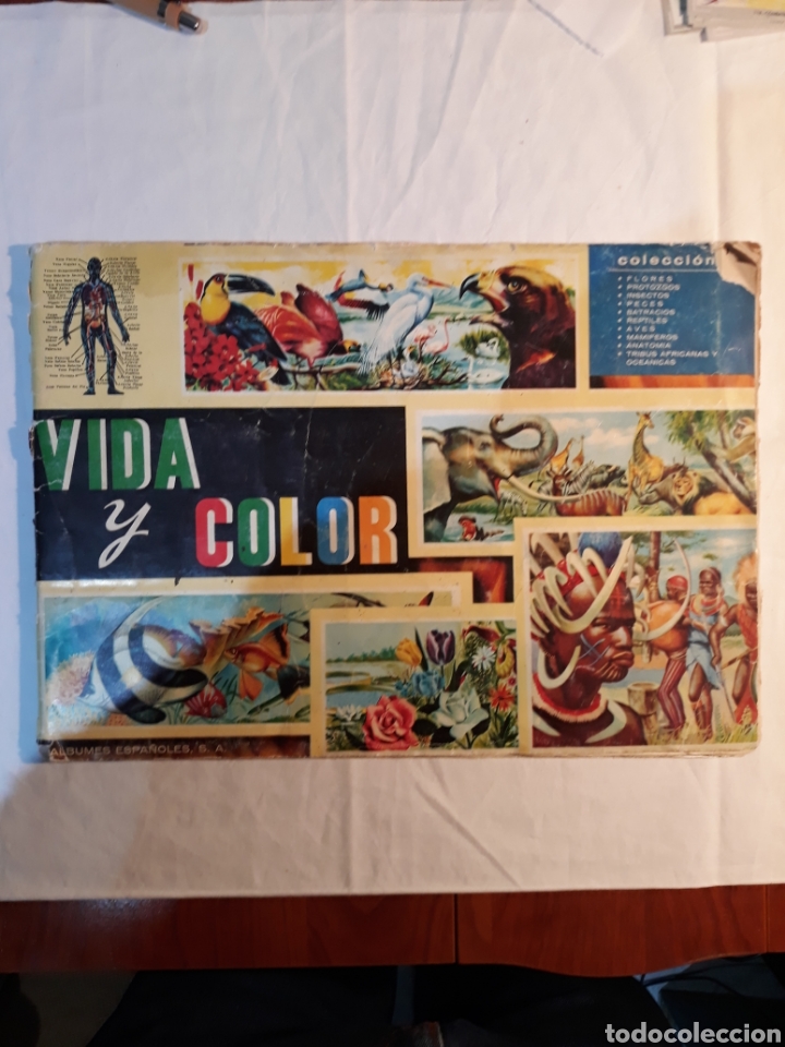 Coleccionismo &Aacute;lbumes: Album cromos Vida y Color.1965. Falta el cromo 306.