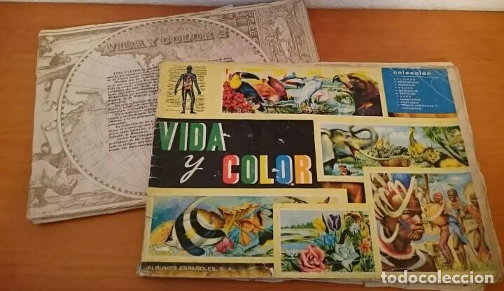 Collectable Incomplete Albums: &Aacute;LBUMES VIDA Y COLOR