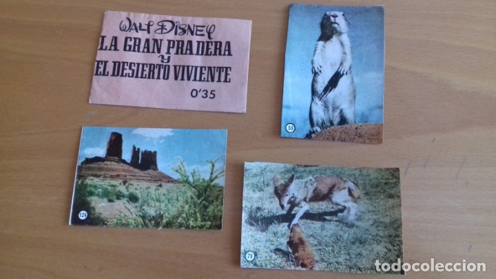 Collezionismo Album: LA GRAN PRADERA Y EL DESIERTO VIVIENTE 3 CROMOS NUEVOS DEL ALBUM Y 1 SOBRE VACIO,WALT DISNEY
