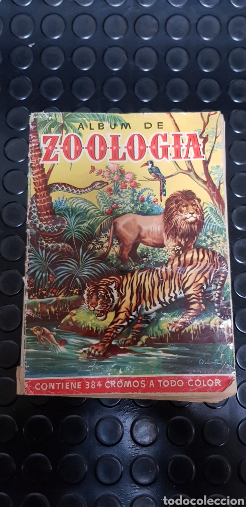 Collectionnisme Albums: Album de Zoolog&iacute;a de Bruguera. A&ntilde;os 50. Incompleto. Faltan 59 cromos de 350