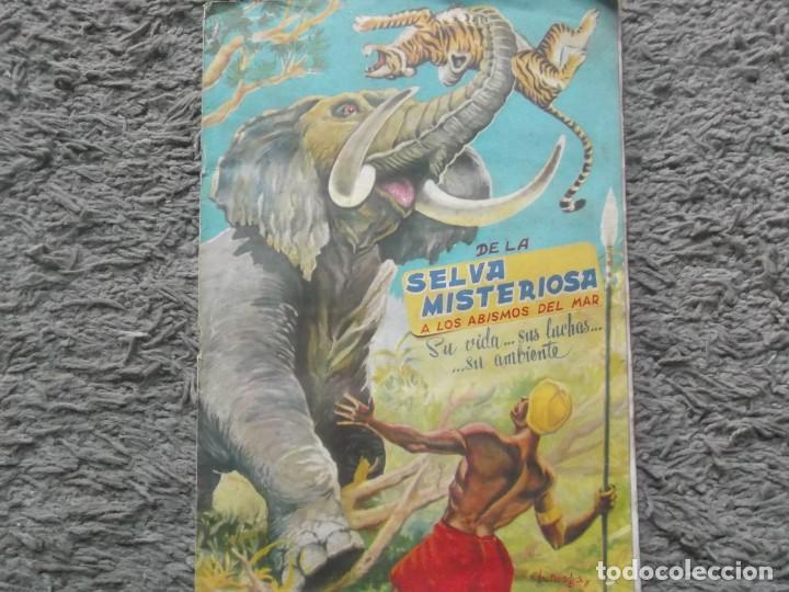 Collezionismo Album: ALBUM DE LA SELVA MISTERIOSA-A LOS ABISMOS DEL MAR-LE FALTAN 87 CROMOS