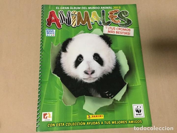 Collectable Incomplete Albums: EL GRAN ALBUM DEL MUNDO ANIMAL 2013 ANIMALES A ESTRENAR SIN NING&Uacute;N CROMO PANINI