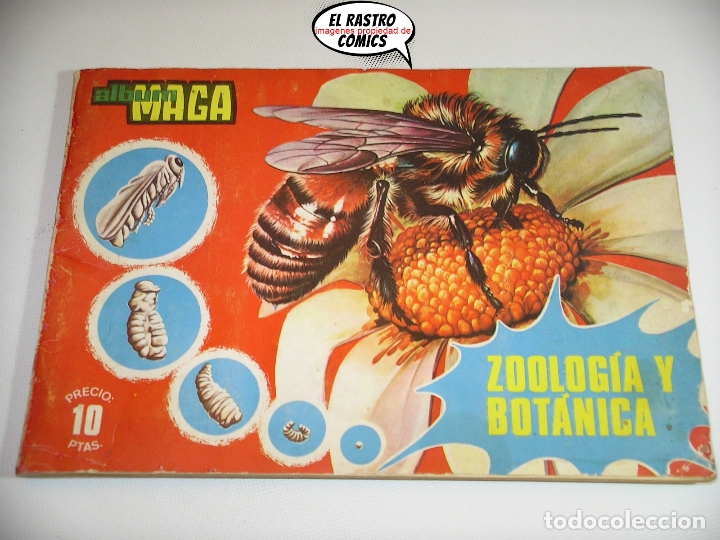 Collectionnisme Albums: &Aacute;lbum de cromos Zoolog&iacute;a y Bot&aacute;nica, ed. Maga, casi completo, a&ntilde;o 1969