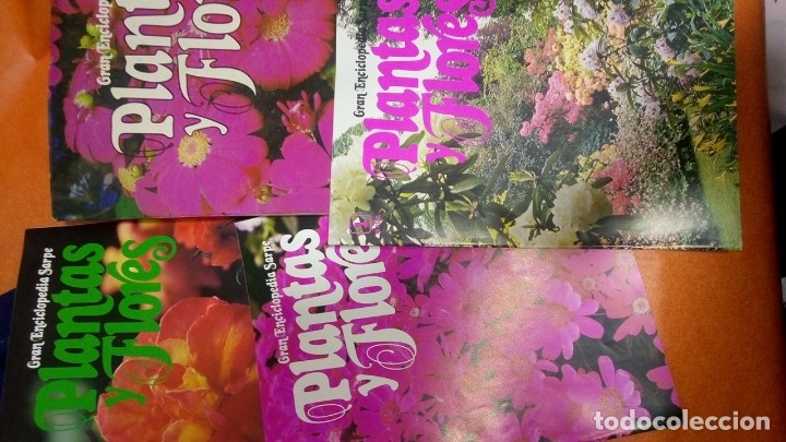 Collectionnisme Albums: coleccionable el mundo de las flores plantas