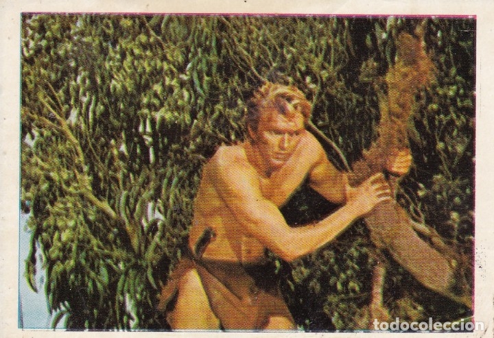Coleccionismo &aacute;lbumes: Tarzan de los monos n&ordm; 173 - Foto 1