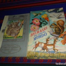 Coleccionismo Álbumes: MUY BUEN ESTADO ANIMALES DE TODO EL MUNDO INCOMPLETO FHER. REGALO CROMOS ANIMALES Y PLANTAS MARINAS.. Lote 178564887