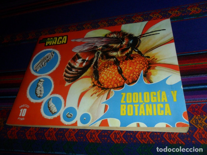 Collectionnisme Albums: BUEN PRECIO, ZOOLOG&Iacute;A Y BOT&Aacute;NICA INCOMPLETO FALTAN 41 DE 288 CROMOS. MAGA 1969.