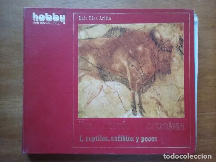 Coleccionismo &aacute;lbumes: DESCUBRIENDO LA NATURALEZA, REPTILES ANFIBIOS Y PECES, HOBBY CLUB INTERNACIONAL LARFE EDICIONES 1973