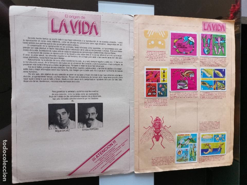 Coleccionismo &aacute;lbumes: &Aacute;LBUM CROMOS EDICIONES ESTE EL ORIGEN DE LA VIDA - Foto 2