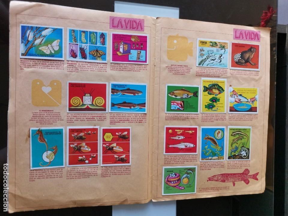 Coleccionismo &aacute;lbumes: &Aacute;LBUM CROMOS EDICIONES ESTE EL ORIGEN DE LA VIDA - Foto 3
