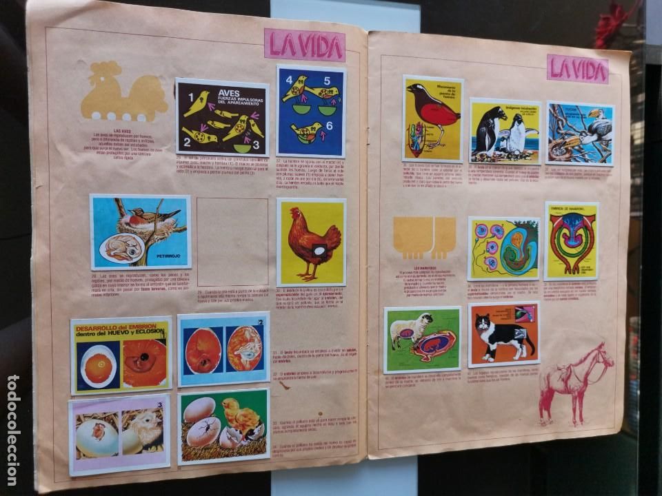 Coleccionismo &aacute;lbumes: &Aacute;LBUM CROMOS EDICIONES ESTE EL ORIGEN DE LA VIDA - Foto 4
