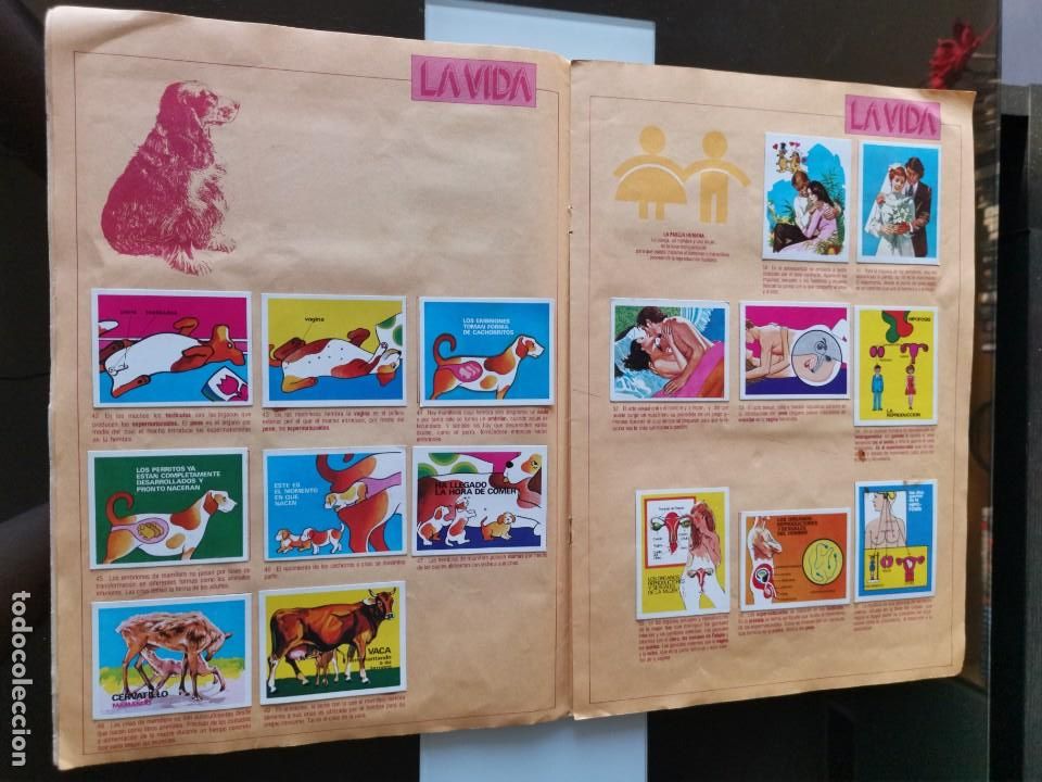 Coleccionismo &aacute;lbumes: &Aacute;LBUM CROMOS EDICIONES ESTE EL ORIGEN DE LA VIDA - Foto 5