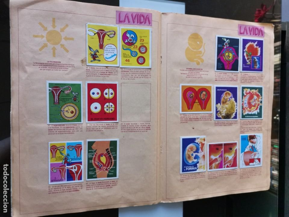 Coleccionismo &aacute;lbumes: &Aacute;LBUM CROMOS EDICIONES ESTE EL ORIGEN DE LA VIDA - Foto 6