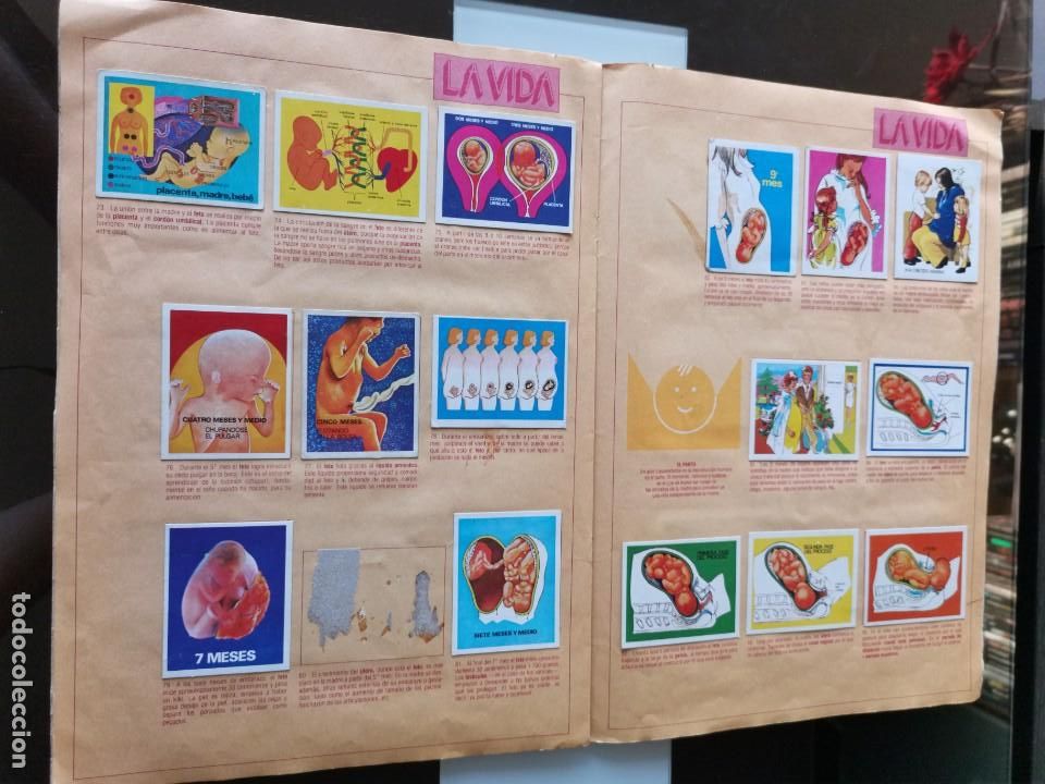 Coleccionismo &aacute;lbumes: &Aacute;LBUM CROMOS EDICIONES ESTE EL ORIGEN DE LA VIDA - Foto 7