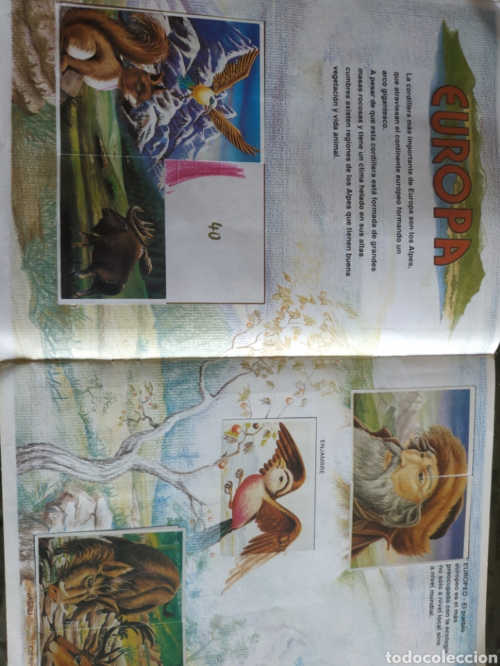 Coleccionismo &aacute;lbumes: MUNDO ECOLOGICO - Foto 2