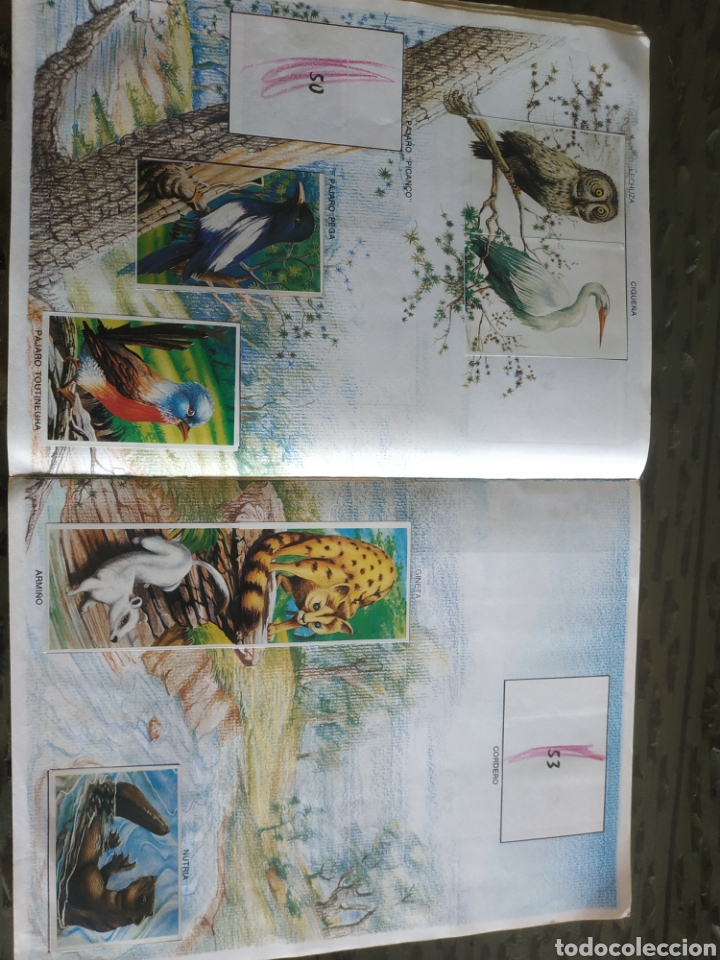 Coleccionismo &aacute;lbumes: MUNDO ECOLOGICO - Foto 3
