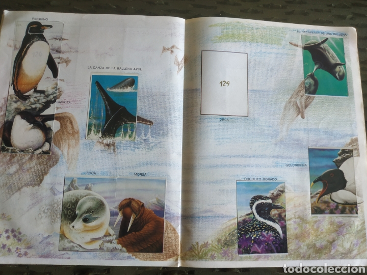Coleccionismo &aacute;lbumes: MUNDO ECOLOGICO - Foto 7