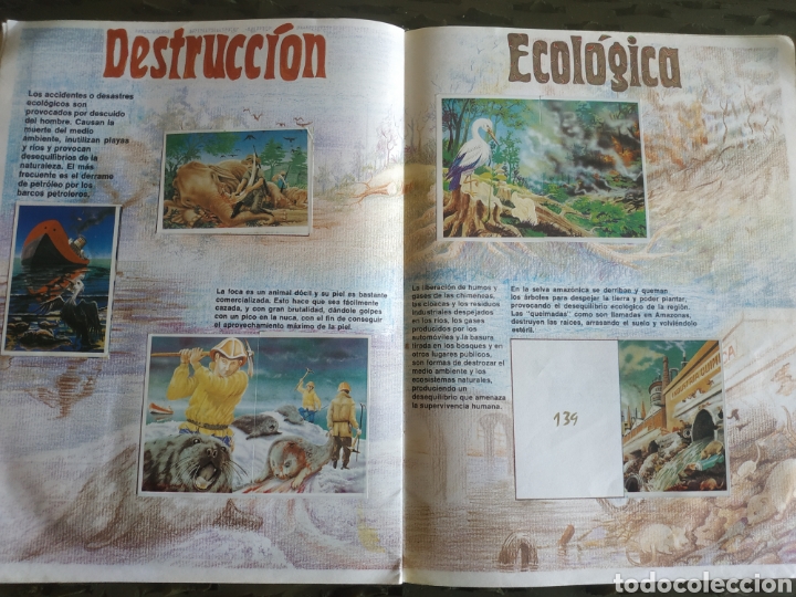 Coleccionismo &aacute;lbumes: MUNDO ECOLOGICO - Foto 8