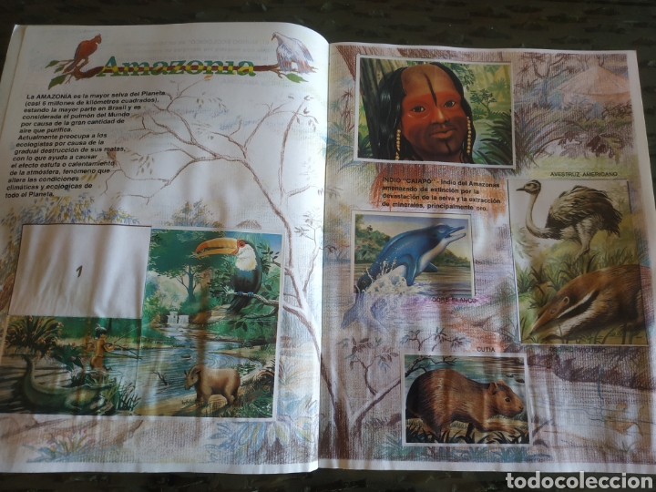 Coleccionismo &aacute;lbumes: MUNDO ECOLOGICO - Foto 2