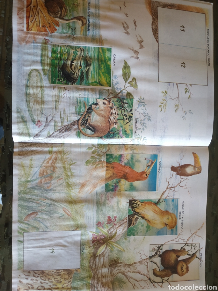 Coleccionismo &aacute;lbumes: MUNDO ECOLOGICO - Foto 3