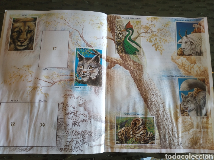 Coleccionismo &aacute;lbumes: MUNDO ECOLOGICO - Foto 5