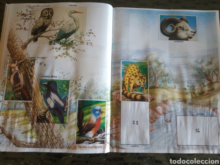 Coleccionismo &aacute;lbumes: MUNDO ECOLOGICO - Foto 7