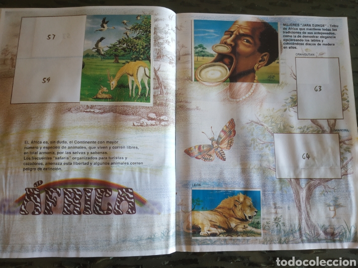 Coleccionismo &aacute;lbumes: MUNDO ECOLOGICO - Foto 8